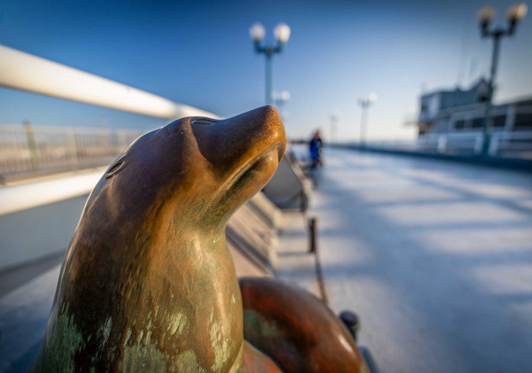 Slick the Seal Beach pier sculpture in close focus